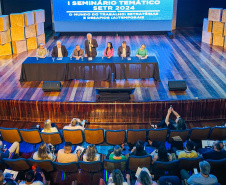 VICE SEMINÁRIO TEMÁTICO