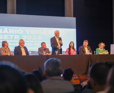 VICE SEMINÁRIO TEMÁTICO