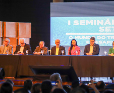 VICE SEMINÁRIO TEMÁTICO