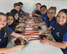  Infraestrutura, alimentação e mais: Educação do Paraná avança com investimentos e projetos inovadores