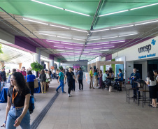 Paraná reforça posição como polo criativo no Brasil e sediará conferência  da Anprotec em 2025
