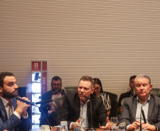 Descomplica Paraná gera acréscimo de R$ 384 milhões ao PIB do Estado