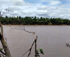 Ponte Rio Ivaí Edital de nova ponte entre Japurá e São Carlos do Ivaí tem primeiro resultado 
