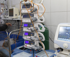 Com três estabelecimentos certificadas em 2024, Tecpar finaliza projeto-piloto para mercado veterinário