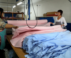  Participação das mulheres no mercado de trabalho cresce 60% no Paraná em um ano