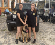 Conheça o Raman, primeiro integrante canino da Polícia Científica