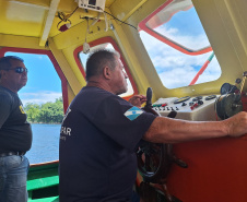 Baía dos Golfinhos: passeio é um dos  favoritos dos turistas que descem do navio de cruzeiro em Paranaguá