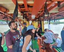 Baía dos Golfinhos: passeio é um dos  favoritos dos turistas que descem do navio de cruzeiro em Paranaguá