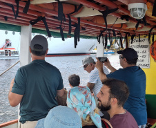 Baía dos Golfinhos: passeio é um dos  favoritos dos turistas que descem do navio de cruzeiro em Paranaguá