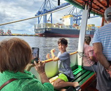 Baía dos Golfinhos: passeio é um dos  favoritos dos turistas que descem do navio de cruzeiro em Paranaguá