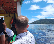 Baía dos Golfinhos: passeio é um dos  favoritos dos turistas que descem do navio de cruzeiro em Paranaguá
