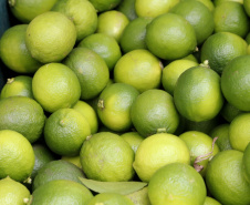 FRUTAS