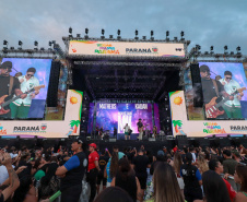 shows