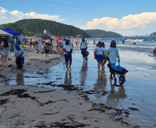 Sanepar recolhe mais de 48 toneladas de lixo no litoral do Estado em apenas 6 dias