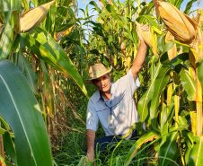BOLETIM AGRO