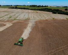 BOLETIM AGRO