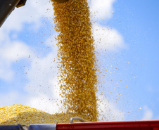 BOLETIM AGRO