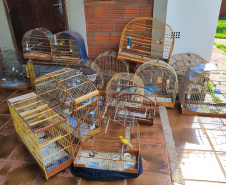 IAT APREENSÃO AVES