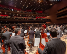 SEEC CCTG ORQUESTRA