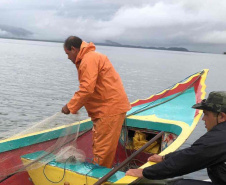 Um dia após a proibição da pesca, agentes do IAT recuperam 13 quilos de camarão em Guaraqueçaba