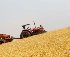 BOLETIM AGRO