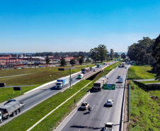 IPVA 2025: 86% dos municípios do Paraná têm menos de 10 mil veículos tributáveis