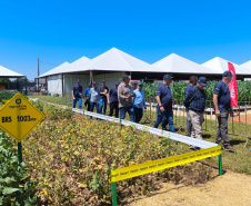 Agroshow Copagril, em Marechal Cândido Rondon