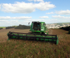 BOLETIM AGRO FEIJÃO