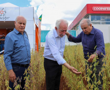 Show Rural 2025