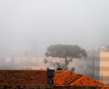 NEBLINA QUE BAIXA, SOL QUE RACHA? SIMEPAR EXPLICA COMO SE FORMAM OS NEVOEIROS