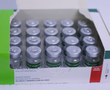  Paraná recebe 332 mil vacinas contra Influenza e se prepara para início da campanha 