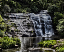 Parque Estadual Vale do Codó, em Jaguariaíva: preservação ambiental como estratégia para conter as mudanças climáticas, tema da 5ª Conferência Estadual do Meio Ambiente.