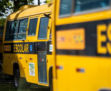Educação: Nova frota de ônibus escolares beneficiará meio milhão de estudantes de 86 municípios
