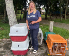 Passagem do CastraPet Paraná por São José dos Pinhais beneficiou 687 animais, entre cães e gatos, de diferentes ONGs e protetoras independentes