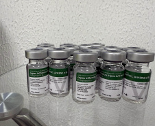 Paraná já aplicou mais de 860 mil doses da vacina contra a gripe