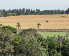 Deral apresenta preços de terras de 2025