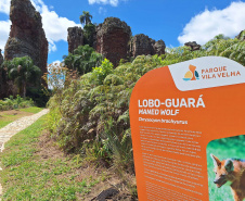 Viajantes + Seguras: Mulheres relatam importância da iniciativa do Estado em seus roteiros