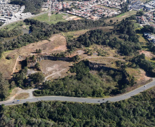 PEDREIRA