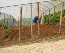 SEGURANÇA ALIMENTAR