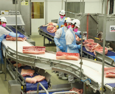 BOLETIM AGROPECUÁRIO CARNE SUÍNA