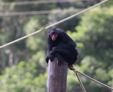 Ceasa Paraná doará alimentos para o Zoológico de Curitiba