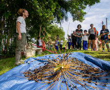 Portos do Paraná realiza oficina de coleta e despolpa do açaí juçara em comunidade no Litoral