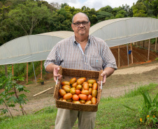 SEGURANÇA ALIMENTAR