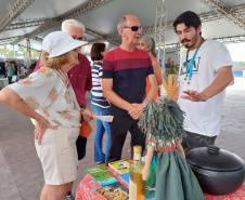 SETU 18,3% de crescimento: Paraná recebeu mais de 426 mil turistas estrangeiros no primeiro trimestre