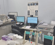 Paraná oferece tratamento a pessoas com doença rara do sangue; Dia Internacional da Talessemia reforça a importância da rede de apoio