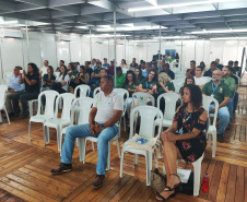 IAT CARAVANA ICMS