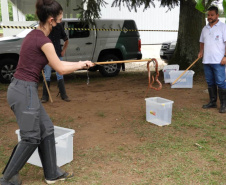 IAT VOLUNTARIADO