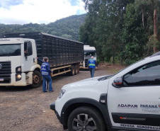 Operação conjunta da Receita Estadual e Adapar apreende R$ 2,6 milhões em mercadorias irregulares