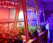 TECPAR - pesquisa propõe soluções sustentáveis para a agricultura e conservação de alimentos