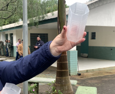  Método Wolbachia: Londrina e Foz do Iguaçu terá ampliação do projeto em 100% do território
